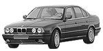 BMW E34 C222A Fault Code