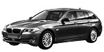 BMW F11 C222A Fault Code